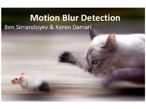 Motion Blur Detection Ben Simandoyev Keren Damari Blur