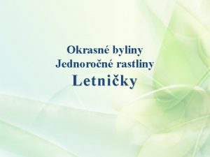 Okrasn byliny Jednoron rastliny Letniky Letniky rastliny ktorch