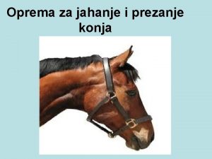 Oprema za jahanje i prezanje konja Oprema za