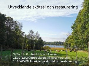 Utvecklande sktsel och restaurering 9 00 11 00