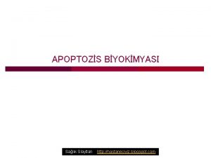 APOPTOZS BYOKMYASI Salk Slaytlar http hastaneciyiz blogspot com