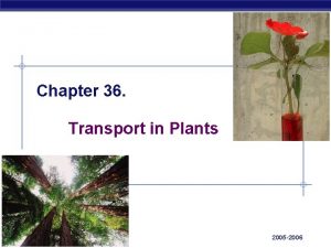 Chapter 36 Transport in Plants AP Biology 2005