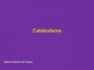 Catabolismo Marta Gutirrez del Campo Vas del catabolismo