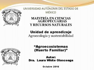 UNIVERSIDAD AUTNOMA DEL ESTADO DE MXICO MAESTRA EN