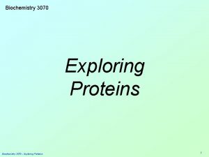 Biochemistry 3070 Exploring Proteins Biochemistry 3070 Exploring Proteins