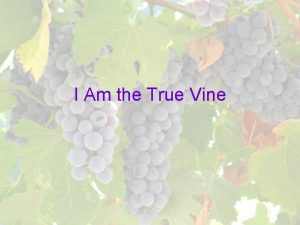 I Am the True Vine Introduction John 15