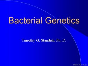 Bacterial Genetics Timothy G Standish Ph D 1999