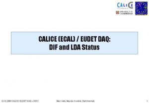 CALICE ECAL EUDET DAQ DIF and LDA Status