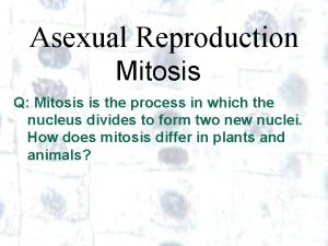 Asexual Reproduction Mitosis Q Mitosis is the process
