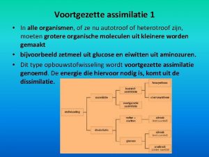 Voortgezette assimilatie 1 In alle organismen of ze