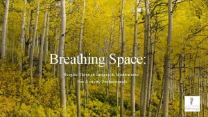 Breathing Space Respite Through Images Meditations For Activity