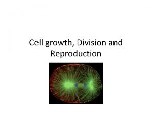 Cell growth Division and Reproduction Cell Division Produces
