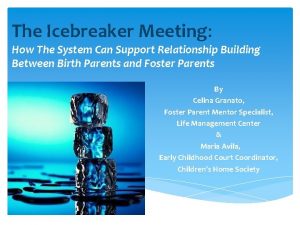 The Icebreaker Meeting How The System Can Support