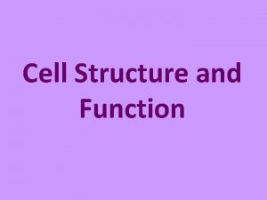Cell Structure and Function Microscopes History of microscopes