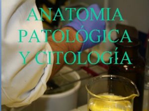 FUNCIONES del tcnico en Anatoma Patolgica y Citologa