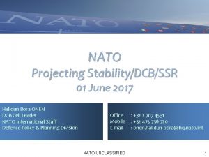 NATO Projecting StabilityDCBSSR 01 June 2017 Halidun Bora