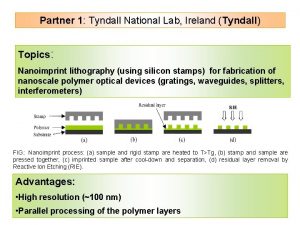 Partner 1 Tyndall National Lab Ireland Tyndall Topics