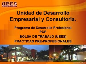 Unidad de Desarrollo Empresarial y Consultora Programa de