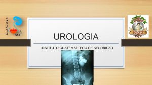 UROLOGIA INSTITUTO GUATEMALTECO DE SEGURIDAD SOCIAL Urologa Es