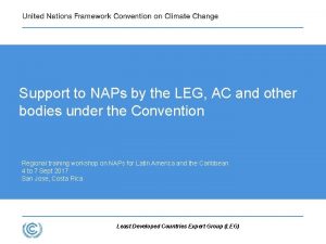 Support to NAPs by the LEG AC and