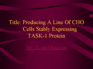 Title Producing A Line Of CHO Cells Stably