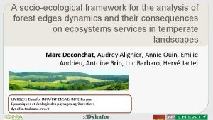 A socioecological framework for the analysis of forest
