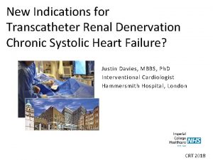 New Indications for Transcatheter Renal Denervation Chronic Systolic