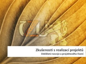 Zkuenosti s realizac projekt Oddlen rozvoje a projektovho