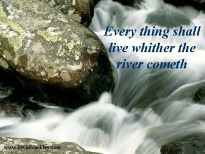 Every thing shall live whither the river cometh