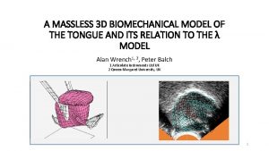 A MASSLESS 3 D BIOMECHANICAL MODEL OF THE