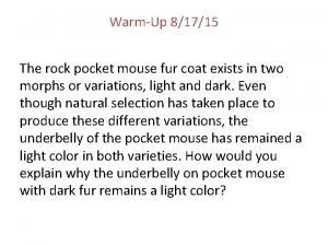 WarmUp 81715 The rock pocket mouse fur coat