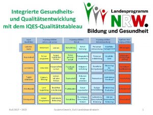 Integrierte Gesundheitsund Qualittsentwicklung mit dem IQESQualittstableau Input Qualitten