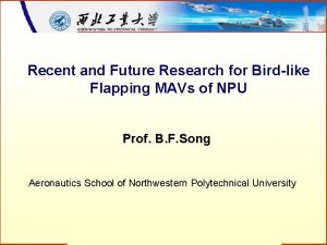 Recent and Future Research for Birdlike Flapping MAVs