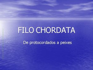 FILO CHORDATA De protocordados a peixes I Caractersticas