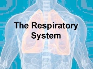 The Respiratory System Functions The respiratory system moves