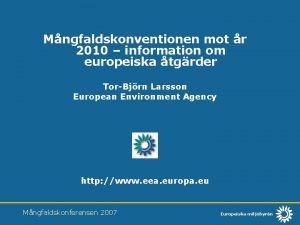 Mngfaldskonventionen mot r 2010 information om europeiska tgrder