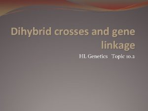 Dihybrid crosses and gene linkage HL Genetics Topic