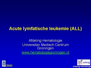 Acute lymfatische leukemie ALL Afdeling Hematologie Universitair Medisch