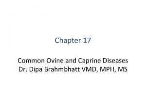 Chapter 17 Common Ovine and Caprine Diseases Dr