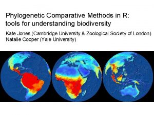 Phylogenetic Comparative Methods in R tools for understanding