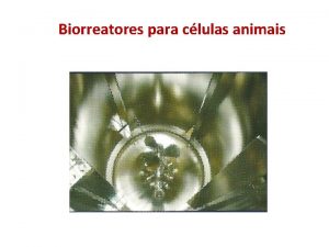 Biorreatores para clulas animais Modo de operao de