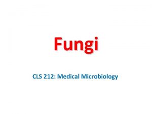 Fungi CLS 212 Medical Microbiology Mycology the study