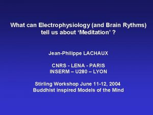 What can Electrophysiology and Brain Rythms tell us