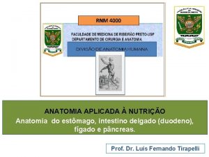 RNM 4000 ANATOMIA APLICADA NUTRIO Anatomia do estmago