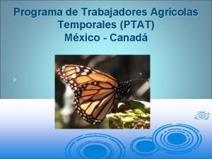 Programa de Trabajadores Agrcolas Temporales PTAT Mxico Canad