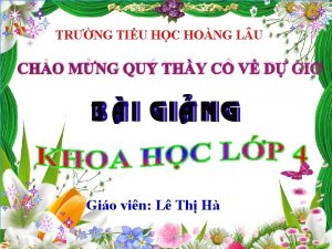 TRNG TIU HC HONG L U CHO MNG