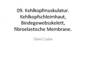 09 Kehlkopfmuskulatur Kehlkopfschleimhaut Bindegewebsskelett fibroelastische Membrane Dvid Csaba