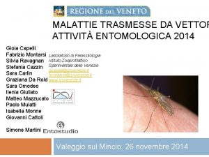 MALATTIE TRASMESSE DA VETTOR ATTIVIT ENTOMOLOGICA 2014 Gioia