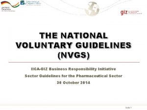 THE NATIONAL VOLUNTARY GUIDELINES NVGS IICAGIZ Business Responsibility