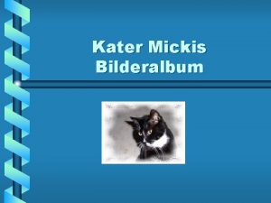 Kater Mickis Bilderalbum Kater Micki Hallo Miezen Ihr